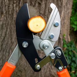 3er-Set: Teleskop Astschere Amboss, Ratschenschere